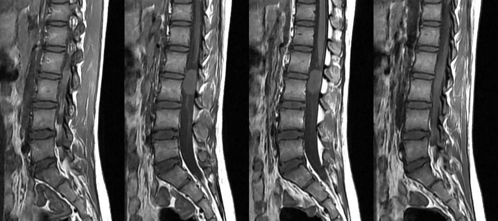 Deira City Medical Diagnostic Center L L C — صورة 7