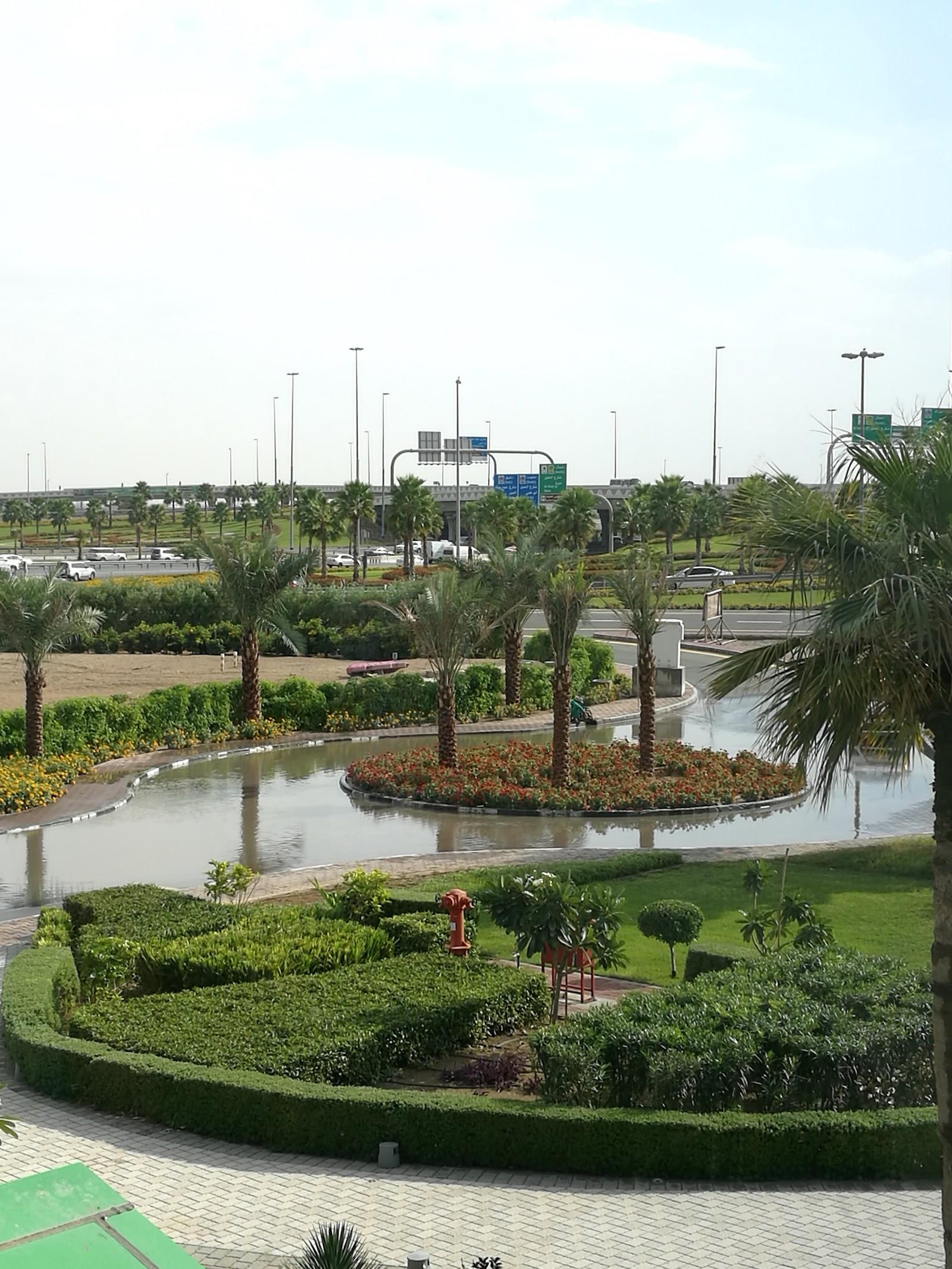 Dubai Herbal And Treatment Centere L L C — photo 8