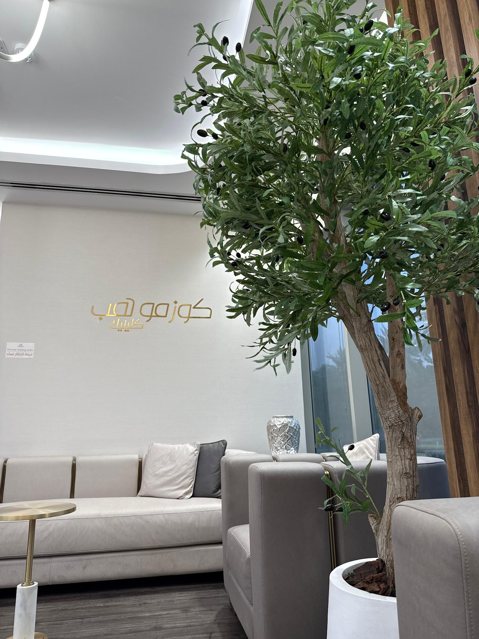 Cosmo Hub Clinic L.L.C — photo 3