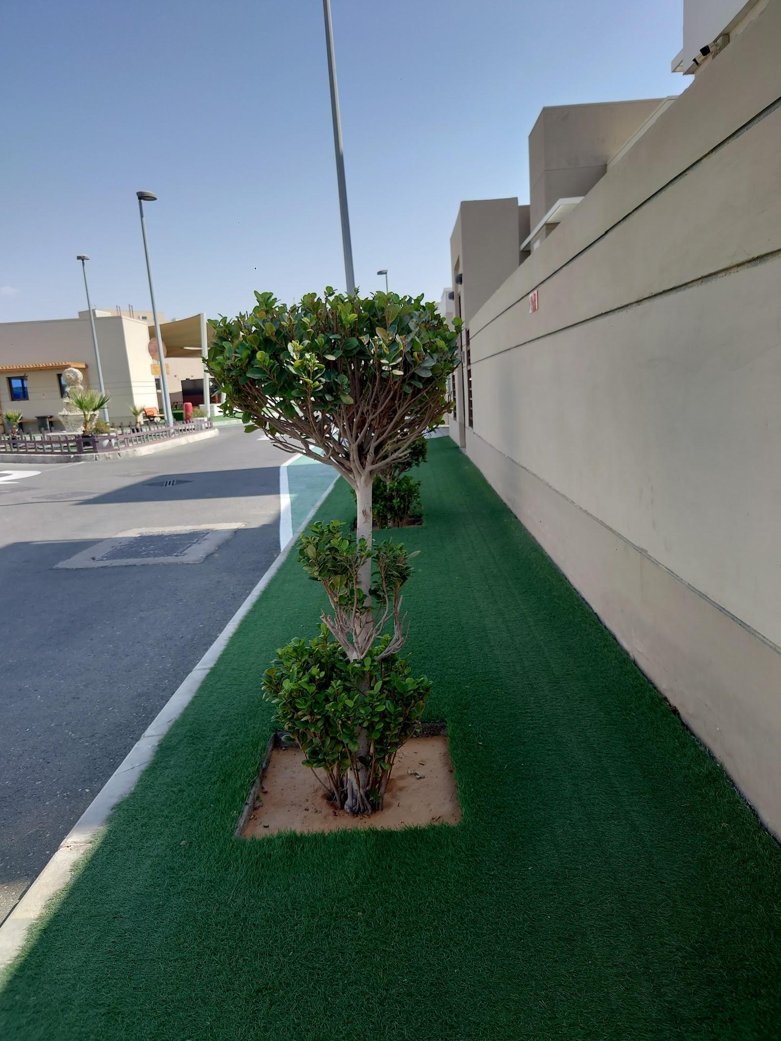 Amana Village Healthcare L.L.C — صورة 8